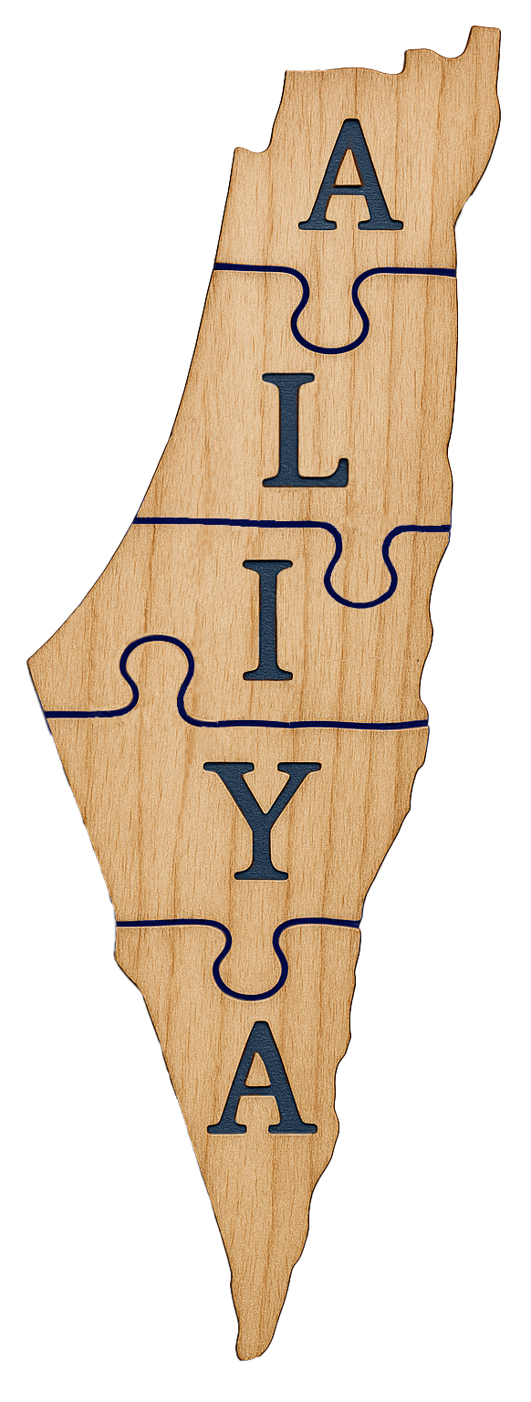 Aliya Financial Israel Puzzle Logo